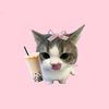 imfreyaaaaa_