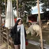 Nhung Chan