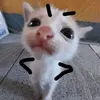 apuu0304