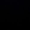 assia_442