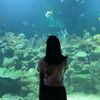 yuanti_meliala
