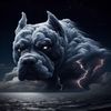 brucebutler1234