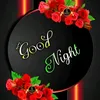 mdmonirhossain4187