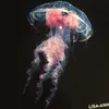 jellyfish_addict3d