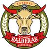 productosbalderas