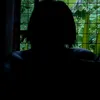 _vinz29