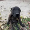 _thichsaothivay_0