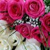 user6385807201463