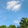 beetreeest
