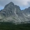 rafalluna