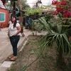 analialope.z