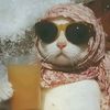 mnthabib