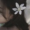 _al_said.1