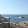 mrrikardhu