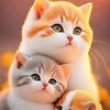soxnafatou7