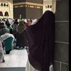 lama_mq20