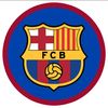 aviscabarca001