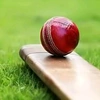 cricket0628