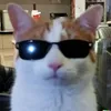 Emisiuniplay