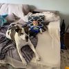 cameronandbuster