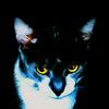 julian042389