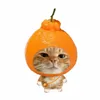minhhogbt