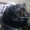 hanzz._.03