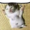 userwj3kb0ch5l