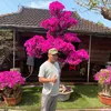 kennysanh76