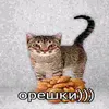 ya_nekrofil123