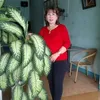 tinngo1252