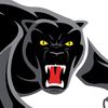 penirthpanthersfan100
