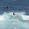 harlem_surf7