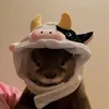 m_arkzhun