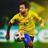 marcelo.iq