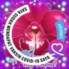 rofeah.diman