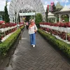 nurnovia_wulandari