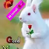 muhmmadismail63isi