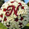 noor52980