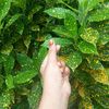 mdsayemtalukdar3