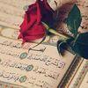 medmazouni6