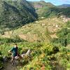 joseafonso_123