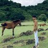 najmul_336