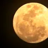 athenacontresa1