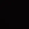 ganzq.1