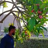 mdrabiulhossain25