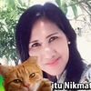 rumahkucingbundaulin