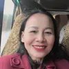 vinhkim491