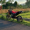 crf_ganzz