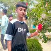 mdalamgirhossain1288